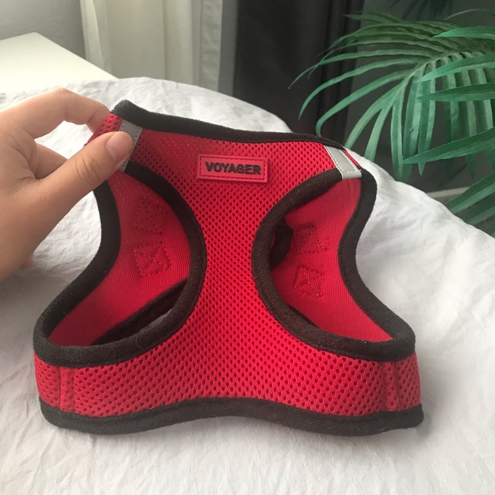 Red dog harness